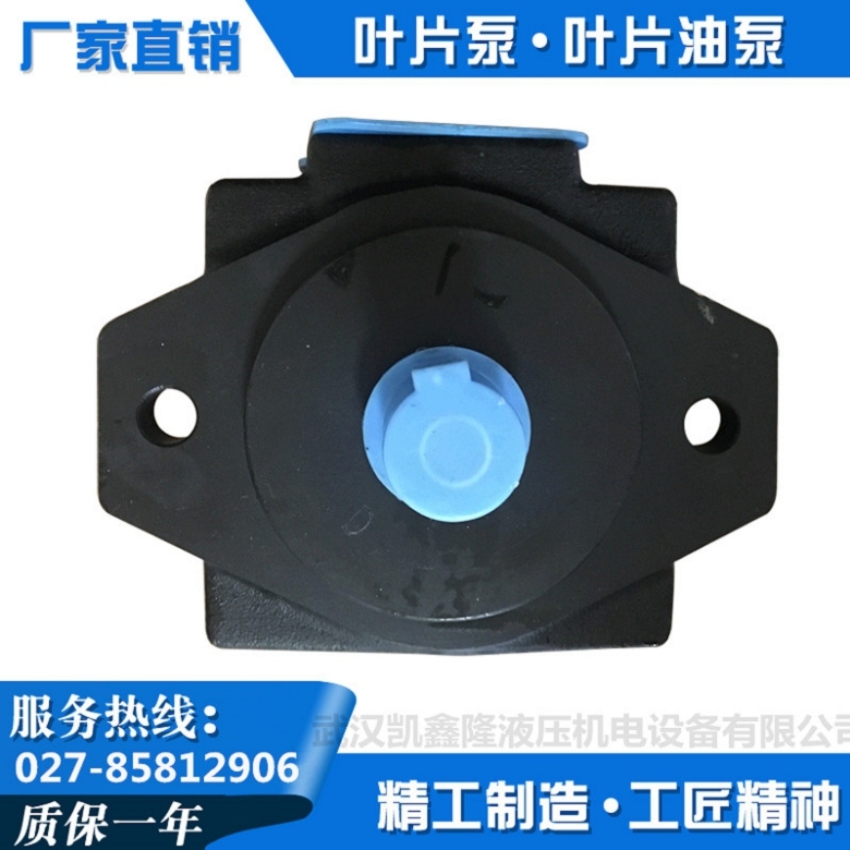 PVL1-23-F-1R-U-10油研葉片泵